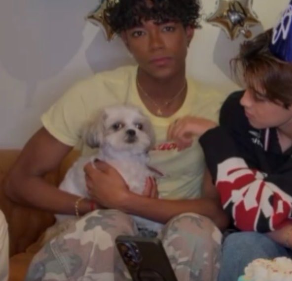 gginsyy's tweet photo. why the dog giving https://t.co/ATw6ZXJxtI