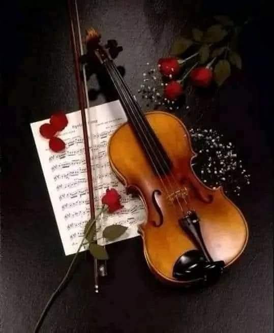 Teeba3200's tweet photo. @Olivia75451510 أحببتك و أنا لم أتأمل تفاصيل عيناك ، 
لم ألمس حتى طرف يداك ! 
أحببتك و أنا لم أعرفُ شيء عن رائحتك
مسكنك، طولك أو ظاهرك!
أحببت فكرك و أحببتك من الداخِل أولاً.
أحببتك بإندفاع لأنني شعرتُ 
بالطمأنينة برفقتك وهذا يكفيني https://t.co/BwaOTeeSQZ