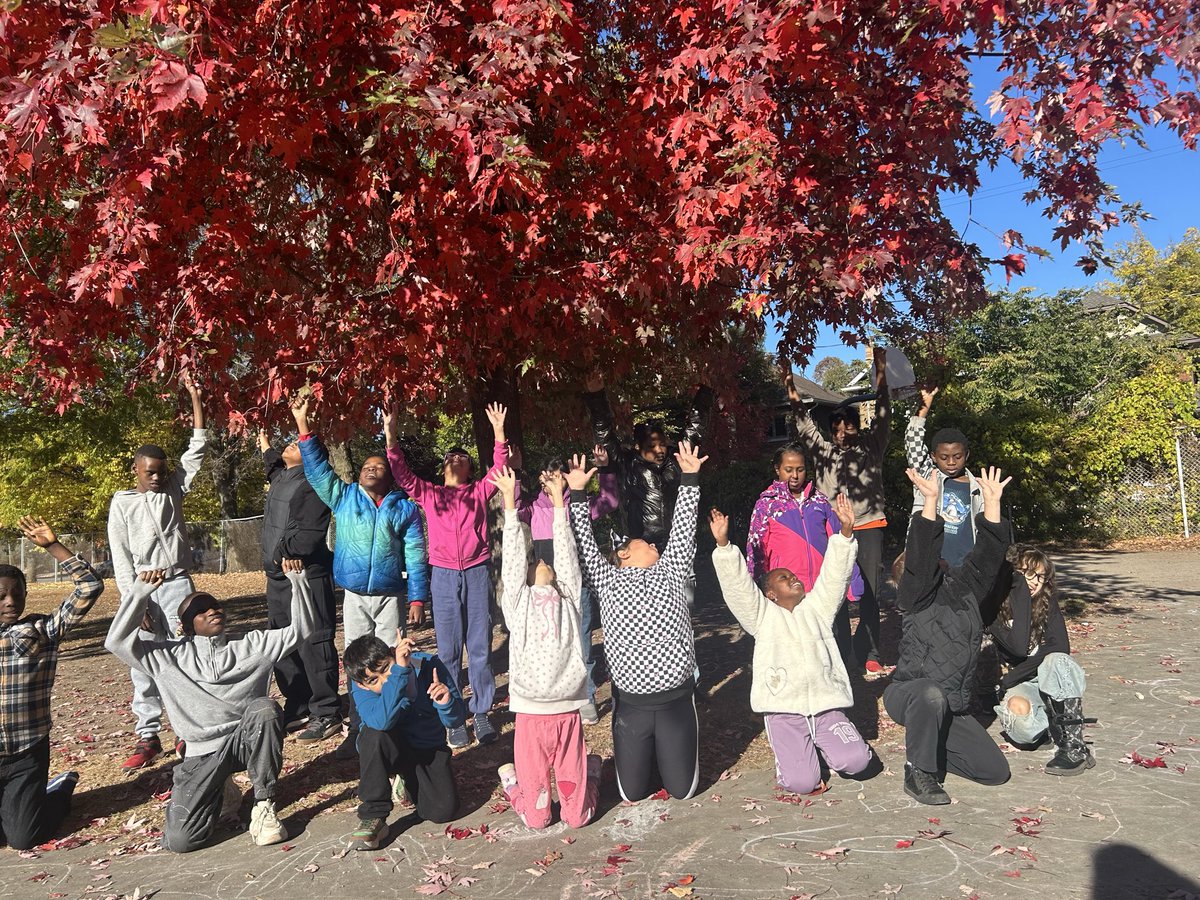 MsKeyota's tweet photo. Hoorah for Autumn !! What a great day for Take Me Outside Day!!! @takemeoutside @OttCatholicSB @CorpusOCSB @ParentsCorpus #takemeoutside #autumnleaves #artoutside #GroupofSevenartists https://t.co/q6owJWFbgH