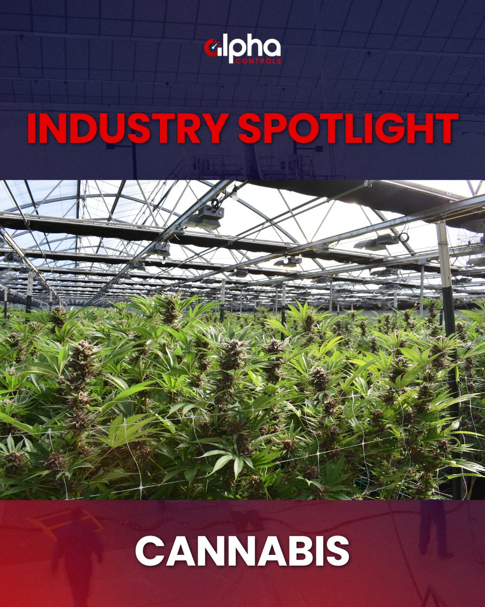 Alpha_Controls's tweet photo. #IndustrySpotlight: Cannabis 🌿🔬

Alpha Controls supports the cannabis industry with:

🌡️ Temperature monitoring
💧 Humidity measurement
📊 Pressure and room monitoring
👁️ Process observation
🌬️ Air quality monitoring

ℹ️ Learn More: https://t.co/Syfp1ngNeB

#AlphaControls https://t.co/TDHmKrpi5K