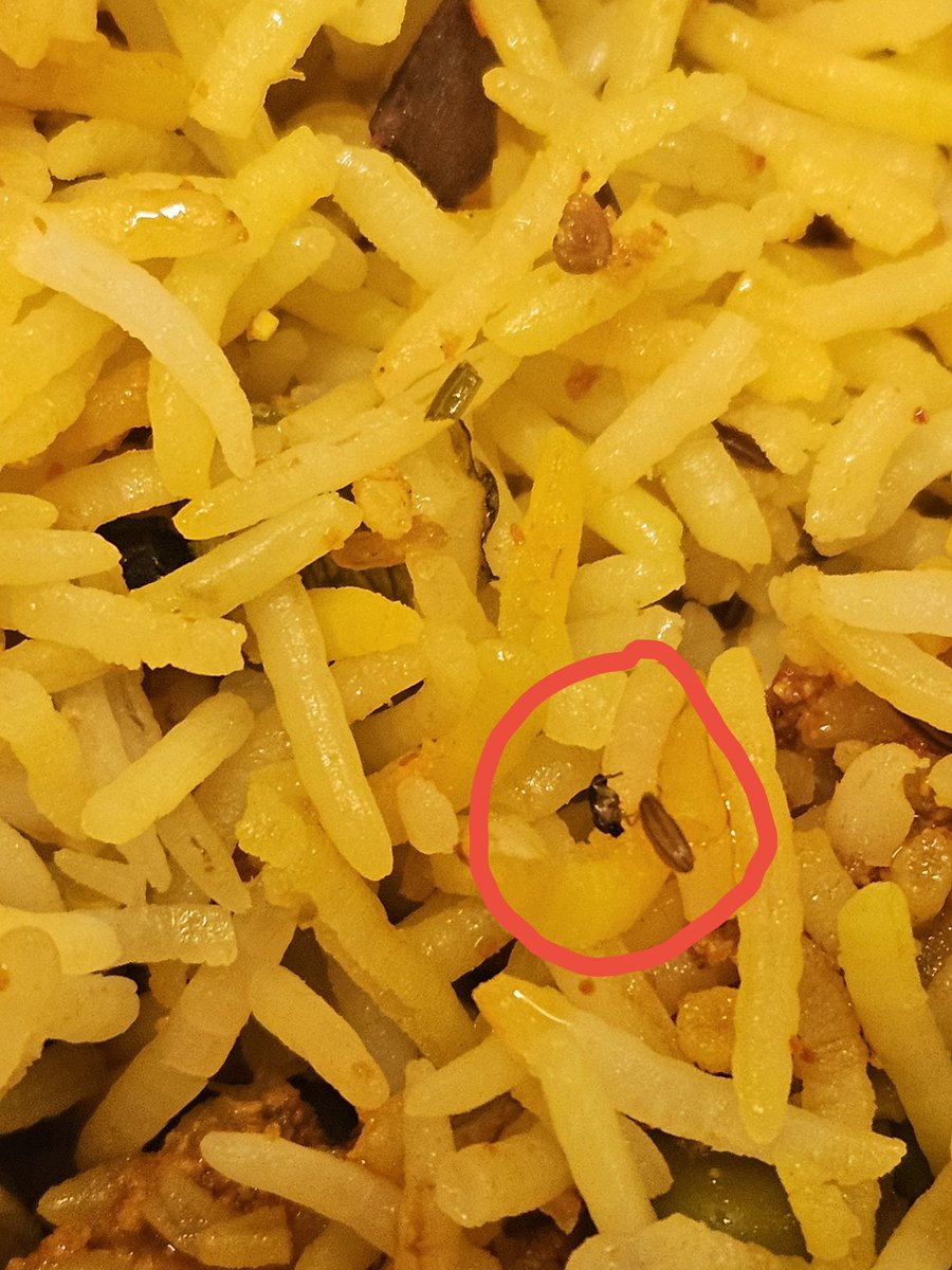 Vikrant20389927's tweet photo. I ordered this from Zomato. I got stale chilled biryani and Cockroaches as guest in my order. I am loving your services Zomato @zomato @zomatocare @fssaiindia 

@Tukaram_IndIAS Sir please take strict action against Zomato and the restaurant Badshah of Biryani, Pune.
PS. Attached https://t.co/3Ba7cWzRy7