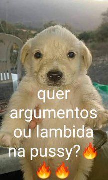 jpeg_memez tweet picture