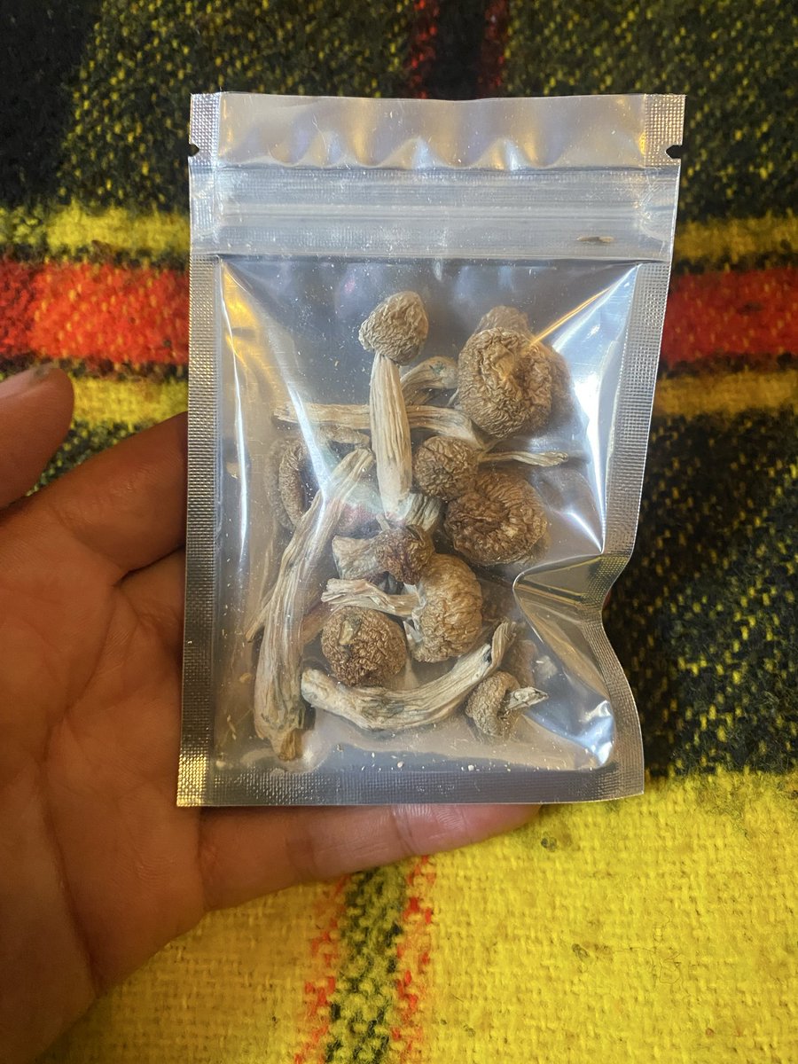 GoDoYaHomework's tweet photo. Which one of y’all mothafuckas can eye a sack of shrooms? Just got Thesw for free and I’m curious as to how much this might be? Is this like an 8th? https://t.co/bZMdeoRzoV