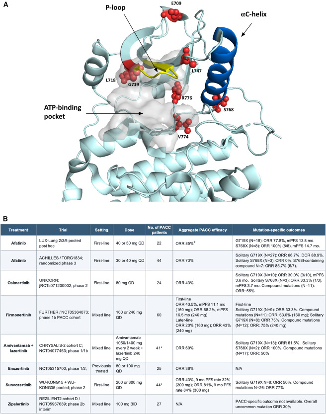 Cancer_Cell's tweet photo. Online Now: One structural class, one treatment? Firmonertinib in PACC-mutant NSCLC dlvr.​it/TW0yYf https://t.co/aMLgVE8n6F