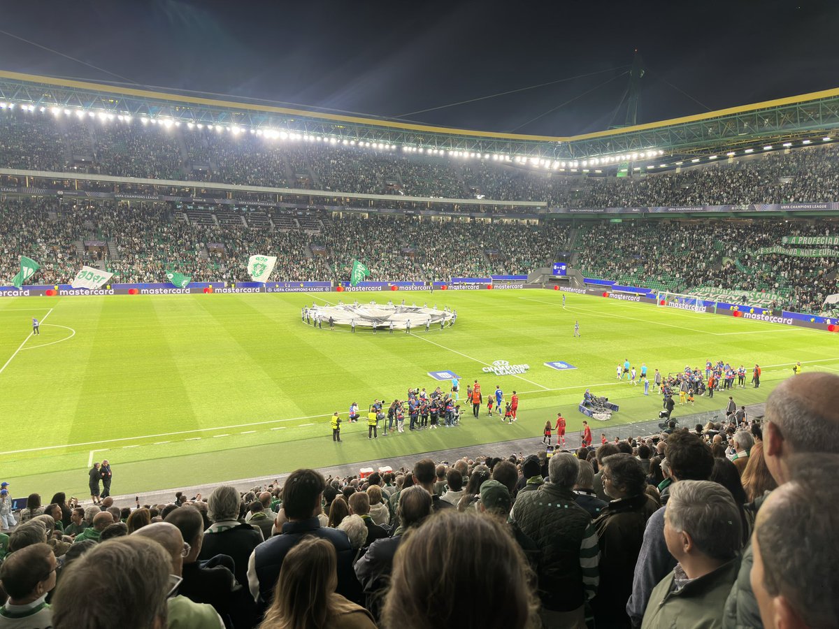 abelmmaia's tweet photo. #emcasa #SportingCP https://t.co/7kK99153Wq