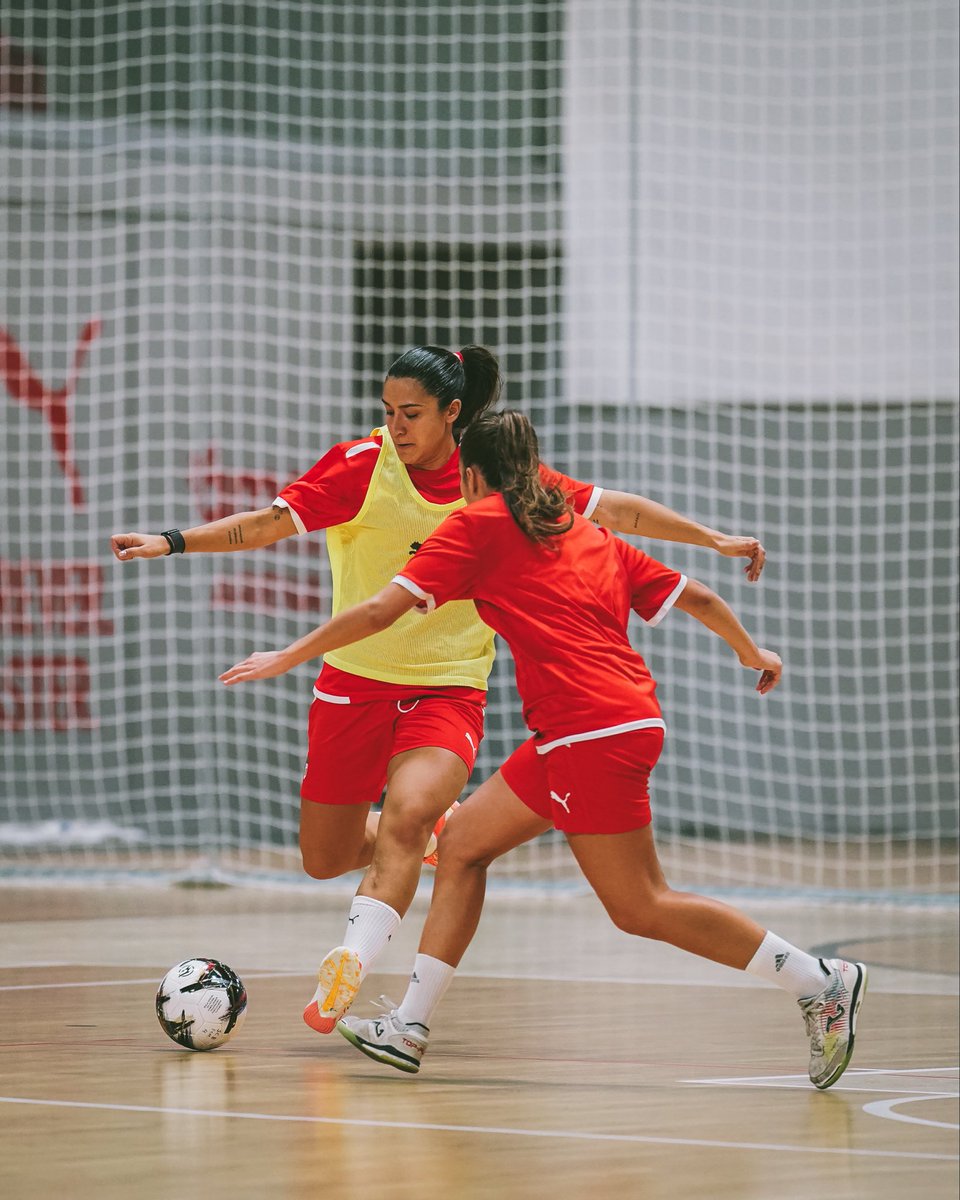 Modalidades_SCB's tweet photo. 𝙈𝙤𝙙𝙤: Futsal Campo 🔛

#FutsalFemininoSCB https://t.co/YLqJtFV7nS