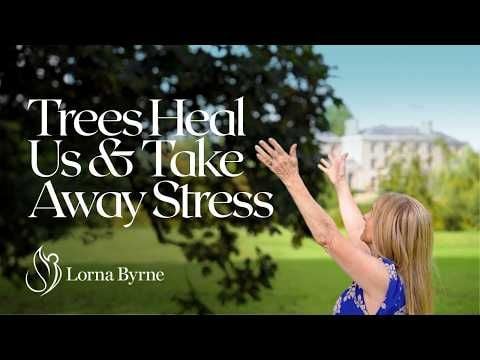 SpiritLibrary's tweet photo. Trees Are Intelligent: They Know Us, Heal Us, And Take Away Stress &amp; Anxiety > Lorna Byrne 
Trees make people calm. A tree takes away your worries and it calms you so much that your anxiety settles down, it calms you so much that you can fall asleep... https://t.co/kyLFKhMCc1 https://t.co/zjhZhyJAOZ
