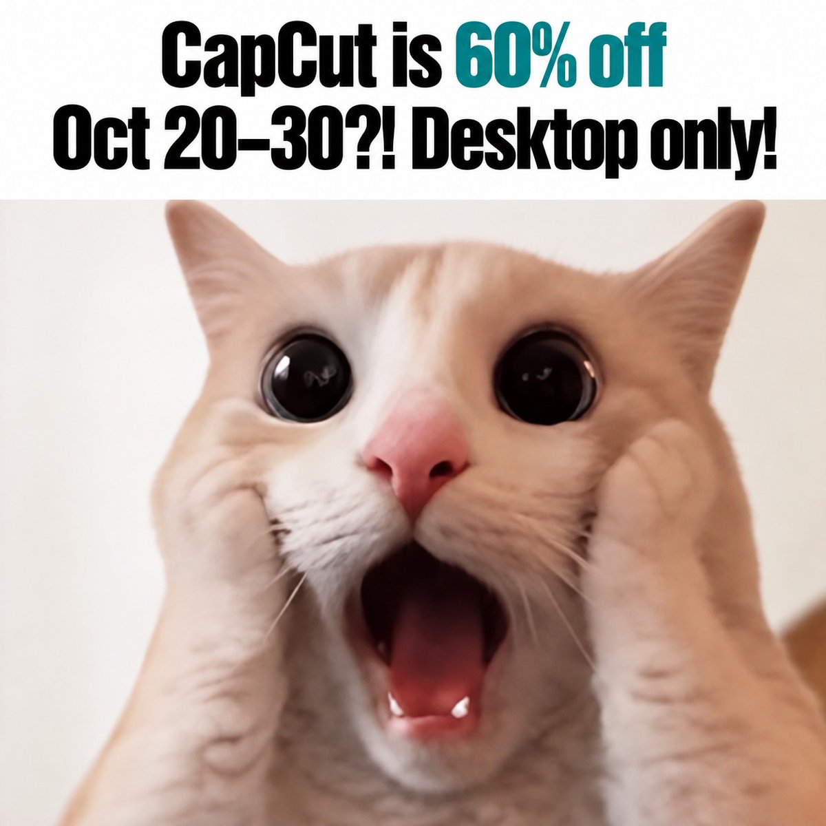 details_with_ai's tweet photo. CapCut Black Friday is on today with 60% OFF Pro and 40% OFF Ultra. Desktop only, October 20–30.

The first visual direction is a starting point for exploring the campaign's mood.

Create AI visuals in CapCut PC, arrange a sequence, and experiment with the order, color, and soundtrack. Use Local Inpainting to revisit selected details, then review the updated shots in the wider edit.

Follow the concept through a few considered revisions and see which combination of visuals and timing best expresses the idea.

#capcutpc #capcutblackfriday #capcutsale #capcutmarketing