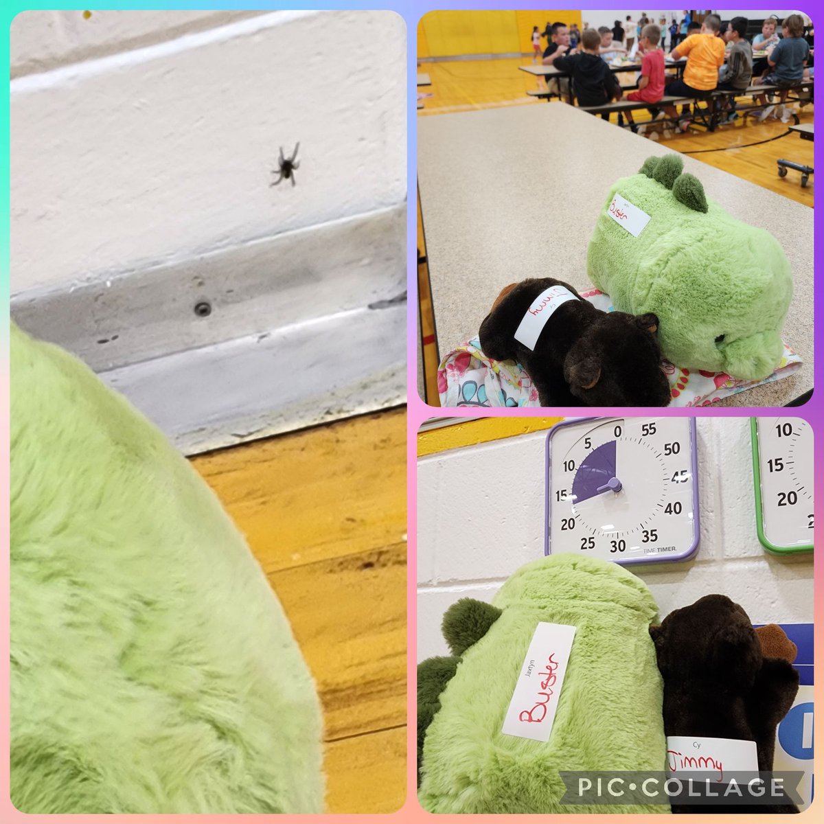 SRCHuskyLibrary's tweet photo. Buster and Jimmy got to help me with lunch duty today. Buster even helped me check out a big spider! (Don't worry. The spider is safely outside now.) More fun coming at our Third grade Stuffy Sleepover! https://t.co/fUYpH6hPfy