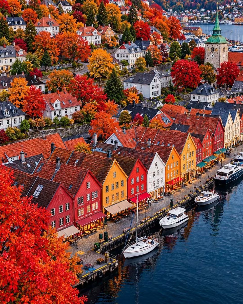 _travel__vibes tweet picture