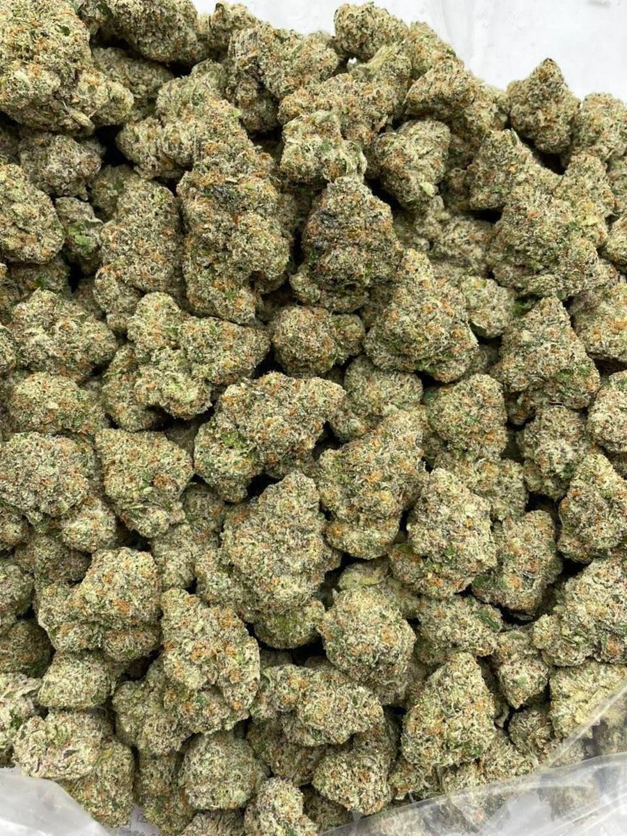 plugginNYC's tweet photo. BLACK CANDY 
LICENSED INDOOR 🍬

1Lb $475 ea
5Lb+ $425
10Lb+ $375

15 Lbs+ available 
📲   https://t.co/0h675T3xjh

#AstoriaQueens #JamaicaQueens #FlushingQueens #SouthOzonePark #RichmondHillQueens #JacksonHeights #ForestHillsNYC #LongIslandCity #BaysideQueens #ElmhurstQueens https://t.co/SHlTQRzkxg