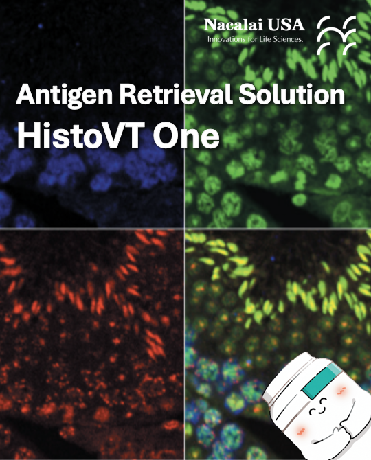 NacalaiUSA's tweet photo. Improve your tissue staining workflow with #HistoVT One! HistoVT One from #Nacalai USA is designed to unmask antigenic sites in tissue sections while preserving antigen integrity.
• Enhances #antigen–#antibody reactions
• Suitable for frozen & paraffin-embedded tissue sections https://t.co/nVIHO871gB