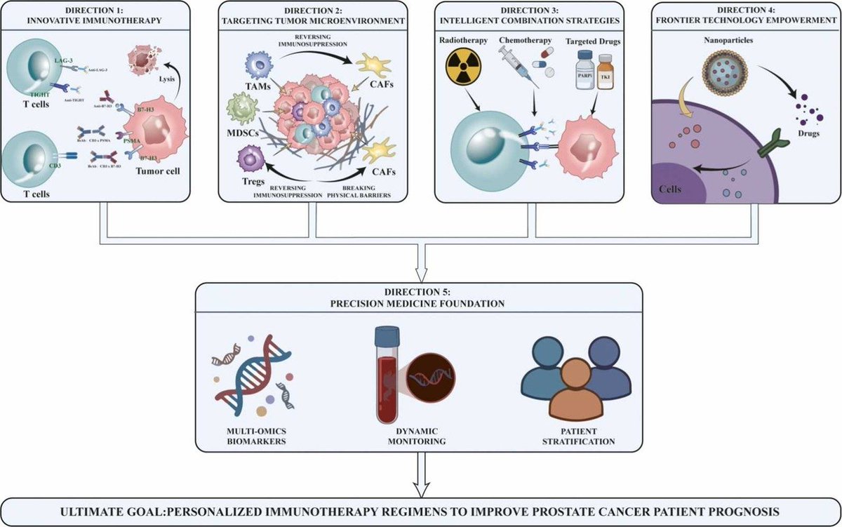 ProstateCell's tweet photo. By exploring emerging frontiers including neuroendocrine transdifferentiation, #nanobiotechnology, and liquid biopsy, this review proposes a roadmap for next-generation therapies aimed at sensitizing #ProstateCancer to immune recognition. 🗺️ 

Give it a read: https://t.co/MvOh4SxLr1
