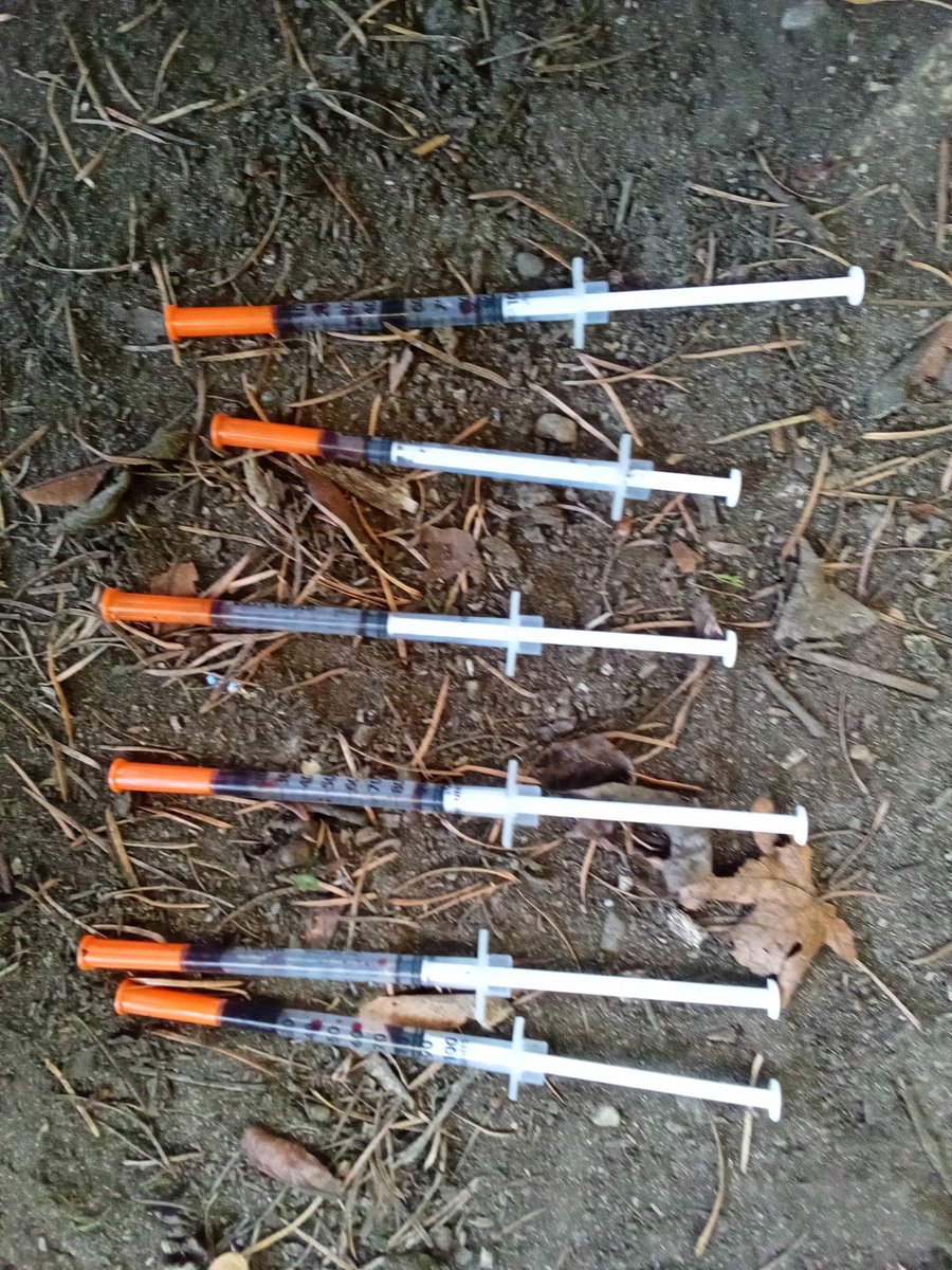 weheartseattle's tweet photo. More unattended lethal drugs in our residential parks today. Nobody else is picking this stuff up, so We Heart Seattle is. Private donations keep this work going enables documenting the harm on the ground and pushing lawmakers for stronger penalties on narcotics in parks. https://t.co/sEPl8L45MM