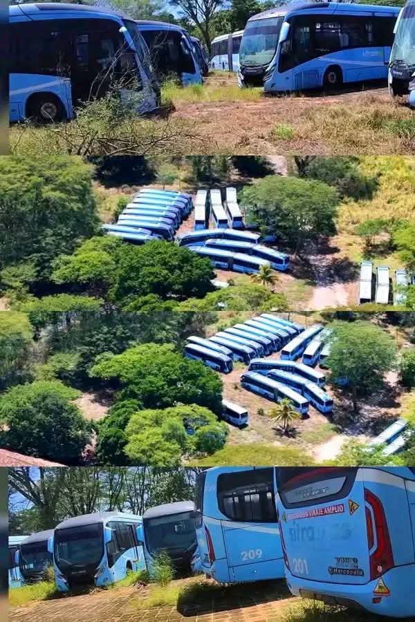 ElTrompudo2022's tweet photo. 🔴 REPORTAN CIENTOS DE BUSES ABANDONADOS EN UNA FINCA DE CHALATENANGO.

Los autobuses de CrediCash?

Un llamativo hallazgo ha generado reacciones en Chalatenango, donde se reporta la presencia de cientos de buses nuevos y seminuevos abandonados y expuestos a la intemperie dentro de una propiedad privada. Muchos de estos vehículos permanecen deteriorándose con el paso del tiempo. El hallazgo ha generado curiosidad entre los chalatecos y salvadoreños en redes sociales.