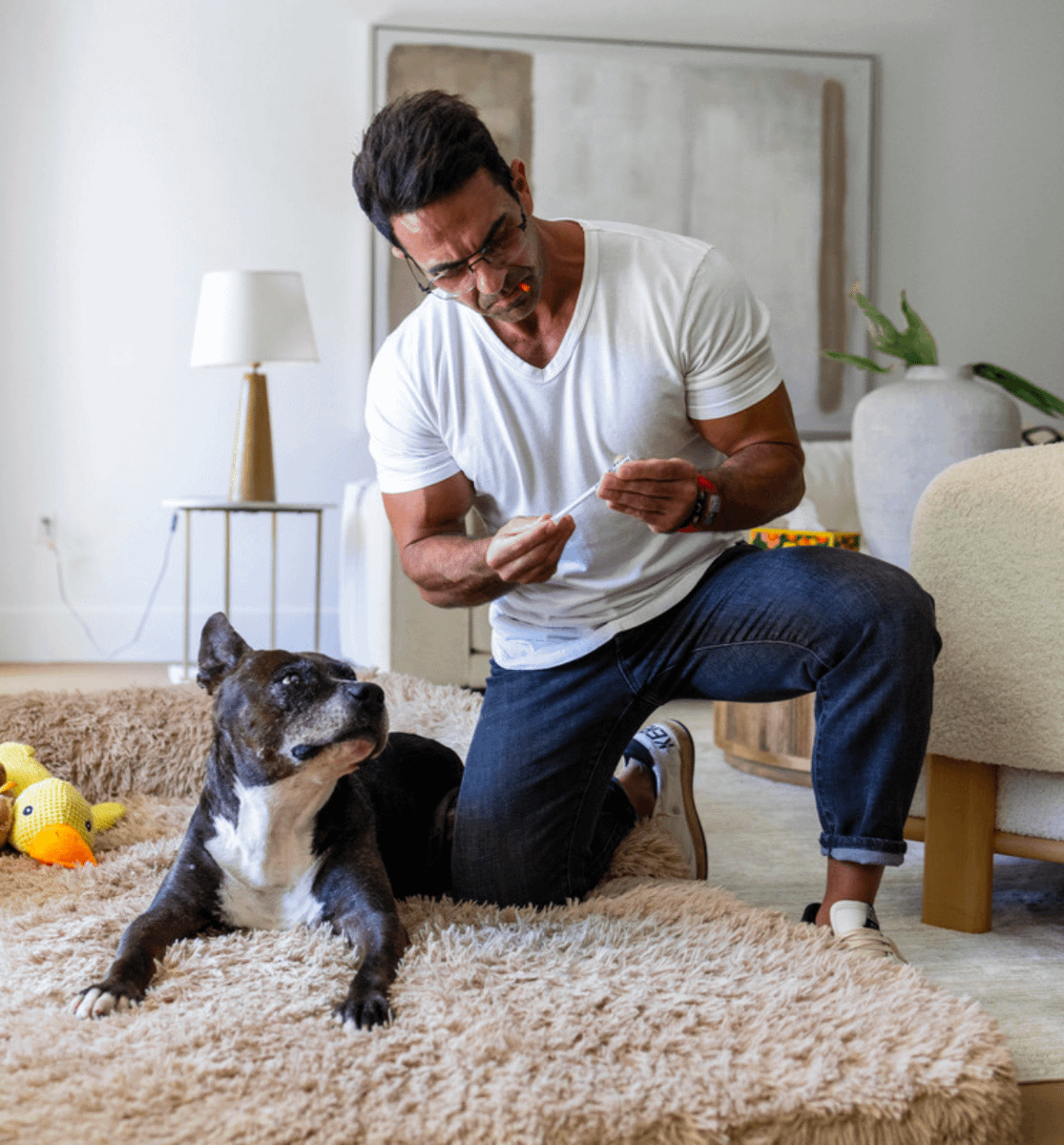 morellifit's tweet photo. Today, as featured in Business Insider, we're announcing two things:

1) Choo's story, and how he became "the most measured dog alive."

2) The launch of pawgen, our new dog longevity brand.

A year ago, Choo was slowing down drastically.

I started him on 500 mcg of BPC-157, adjusted for his bodyweight and worked up to 2 mg.

Around week 6 he was running again and got his zest back.

He can't tell me how he feels so I observe and I see less limping, easier breathing, and more energy.

Today, Choo has two vets who make house calls, physical therapy, red light therapy, probiotics, testosterone therapy, etc. We test everything down to heavy metals.

His story went viral, with Business Insider covering it and CBS coming to our house to film a day in his life.

The reality is, most owners can't afford this. A vet visit can cost thousands of dollars whereas a month of peptides often costs under $100.

That's why so many people are turning to them, and also why we're building https://t.co/7i9NbmMbyx - a dog longevity brand helping other dogs get a second chance.

Thanks to Gabby Landsverk and Hilary Brueck at Business Insider for a fair and thorough piece, and to Edward Linsmier for the photos of Choo.

You can read the full article in the link below.