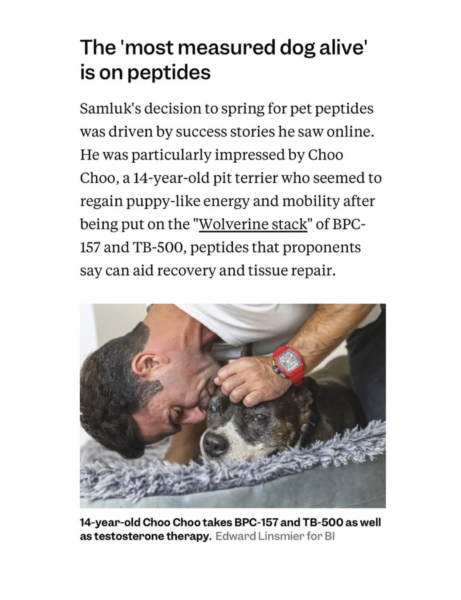 morellifit's tweet photo. Today, as featured in Business Insider, we're announcing two things:

1) Choo's story, and how he became "the most measured dog alive."

2) The launch of pawgen, our new dog longevity brand.

A year ago, Choo was slowing down drastically.

I started him on 500 mcg of BPC-157, adjusted for his bodyweight and worked up to 2 mg.

Around week 6 he was running again and got his zest back.

He can't tell me how he feels so I observe and I see less limping, easier breathing, and more energy.

Today, Choo has two vets who make house calls, physical therapy, red light therapy, probiotics, testosterone therapy, etc. We test everything down to heavy metals.

His story went viral, with Business Insider covering it and CBS coming to our house to film a day in his life.

The reality is, most owners can't afford this. A vet visit can cost thousands of dollars whereas a month of peptides often costs under $100.

That's why so many people are turning to them, and also why we're building https://t.co/7i9NbmMbyx - a dog longevity brand helping other dogs get a second chance.

Thanks to Gabby Landsverk and Hilary Brueck at Business Insider for a fair and thorough piece, and to Edward Linsmier for the photos of Choo.

You can read the full article in the link below.