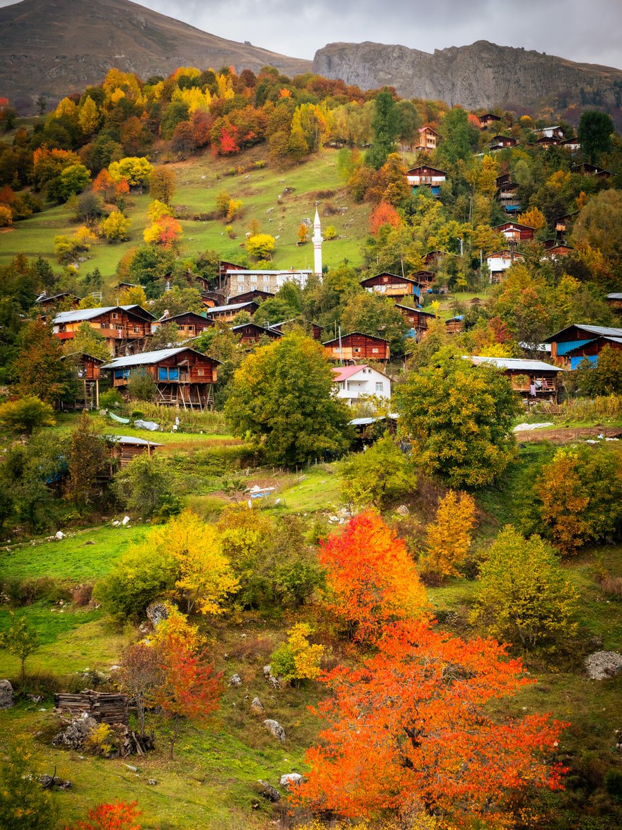 bpthaber's tweet photo. Artvin Şavşat'ta sonbahar manzarası. https://t.co/R6RLfhxln6