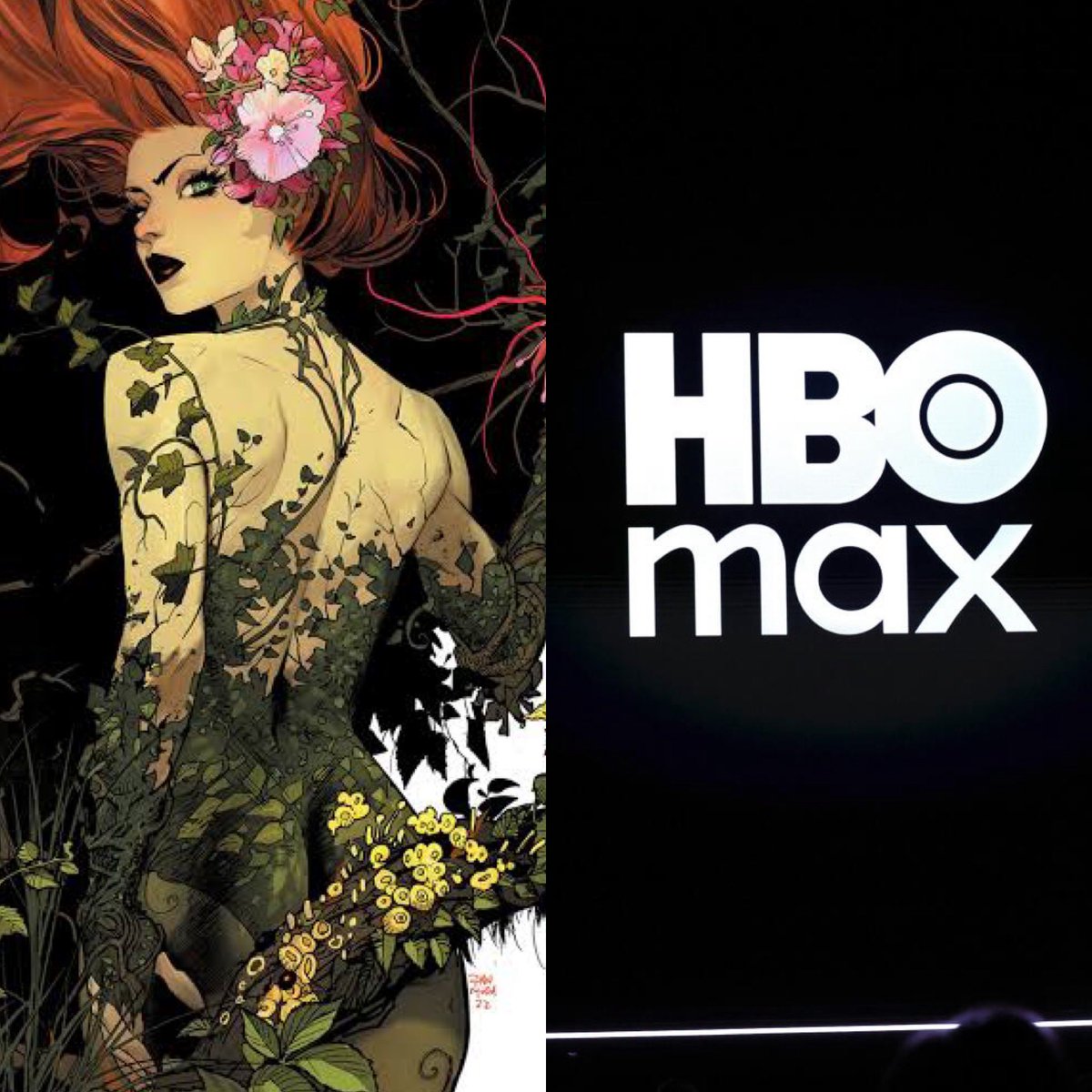 TheTopComics's tweet photo. Se prepara una serie de Poison Ivy en HBO. No estaría dentro del universo de Matt Reeves.

Fuente: Deadline https://t.co/FGNeSv4UoG