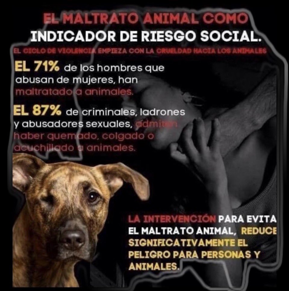 Alejand82428012's tweet photo. @ruben_prz 🚨🚨🚨🚨🚨🚨🚨🚨🚨🚨🚨🚨🚨 https://t.co/Jyb9kSB5NG