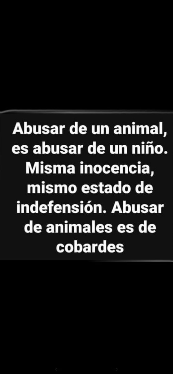 Alejand82428012's tweet photo. @ruben_prz 🚨🚨🚨🚨🚨🚨🚨🚨🚨🚨🚨🚨🚨 https://t.co/Jyb9kSB5NG