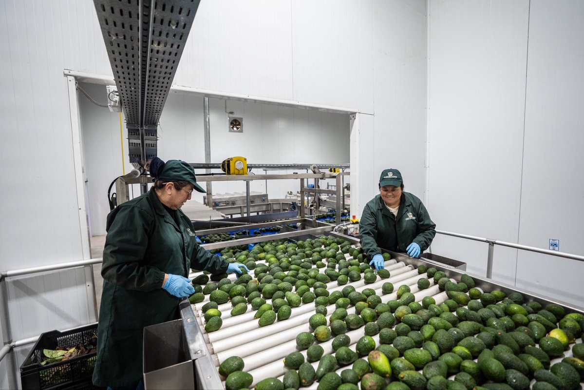 PresidenteKast's tweet photo. Chile necesita más inversión, empleo y oportunidades para salir adelante. 

Hoy inauguramos en María Pinto la nueva planta de Agroalto, una inversión de US$10 millones que incorpora tecnología de última generación y genera 100 nuevos puestos de trabajo.

Este es el Chile que queremos: un país donde la inversión y el esfuerzo se traduzcan en progreso y bienestar para las familias.