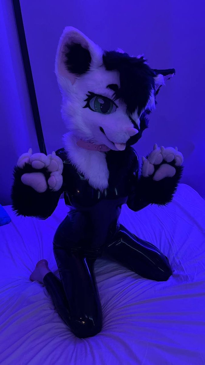 w1shkei's tweet photo. Pet me~ https://t.co/bHlVSqfE8P