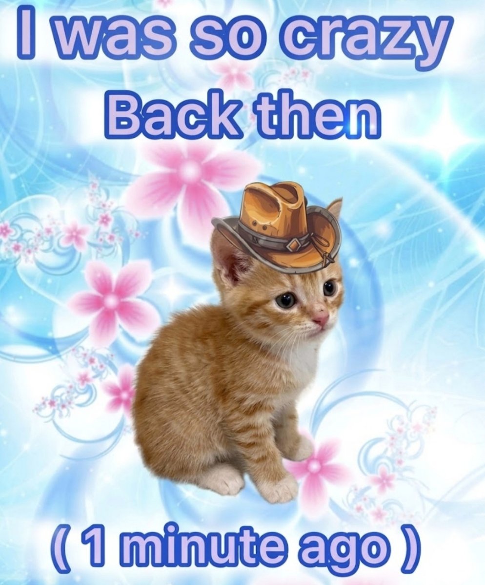 Meowversetwt's tweet photo. https://t.co/S1UDU76tiA