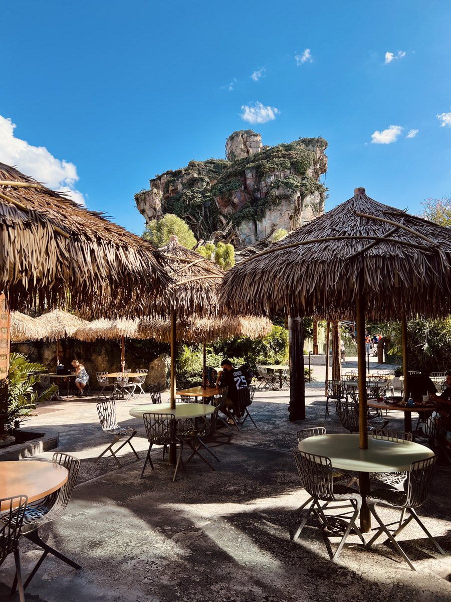 MickeyViews's tweet photo. Today’s a beautiful day on Pandora! https://t.co/0VDM9jUFwz