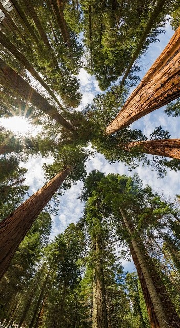 AmyEverlylv's tweet photo. 仕事帰りの電車で隣の席の高校生が大声で友達と話してて、疲れてるから静かにして欲しいなぁと思ってたのに、自分も隣の席でゲームの音漏れしてたと気づいて恥ずかしいやら申し訳ないやらで、目 https://t.co/j2JRD8LMzL