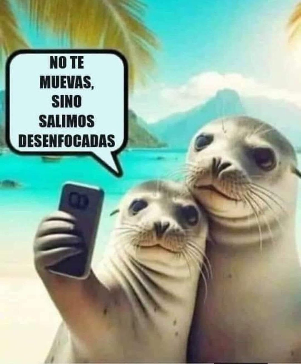 EdithAP_'s tweet photo. UN chiste de focas. 😄

¡Qué ternura! https://t.co/atmifmha9w