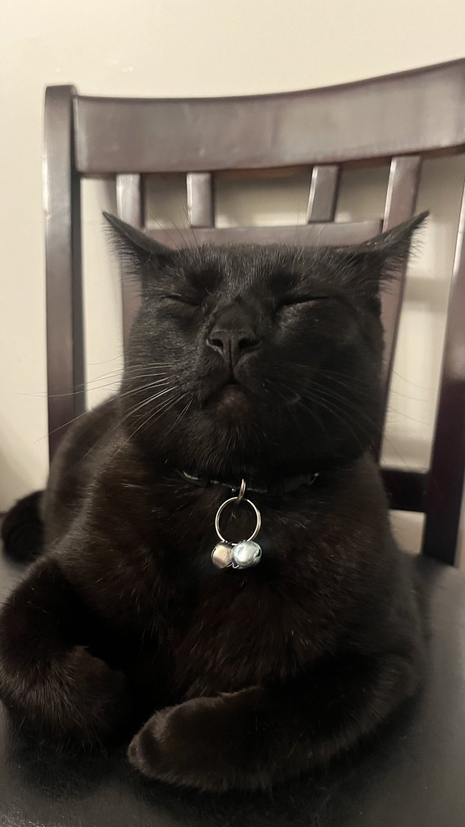 sockmoments's tweet photo. he tryna ignore it https://t.co/apHiHzvUSm