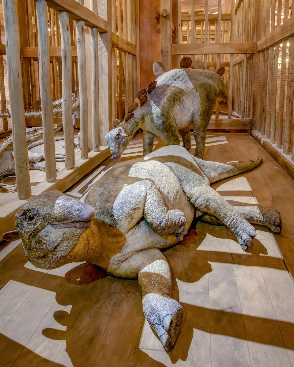 ArkEncounter tweet picture