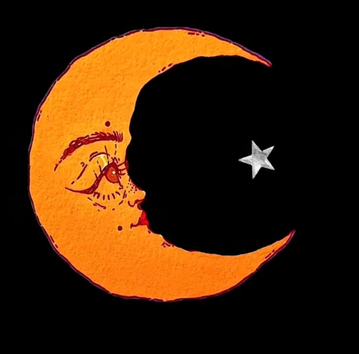 alageik0's tweet photo. star of my moon, good night https://t.co/pGIftHbAHh