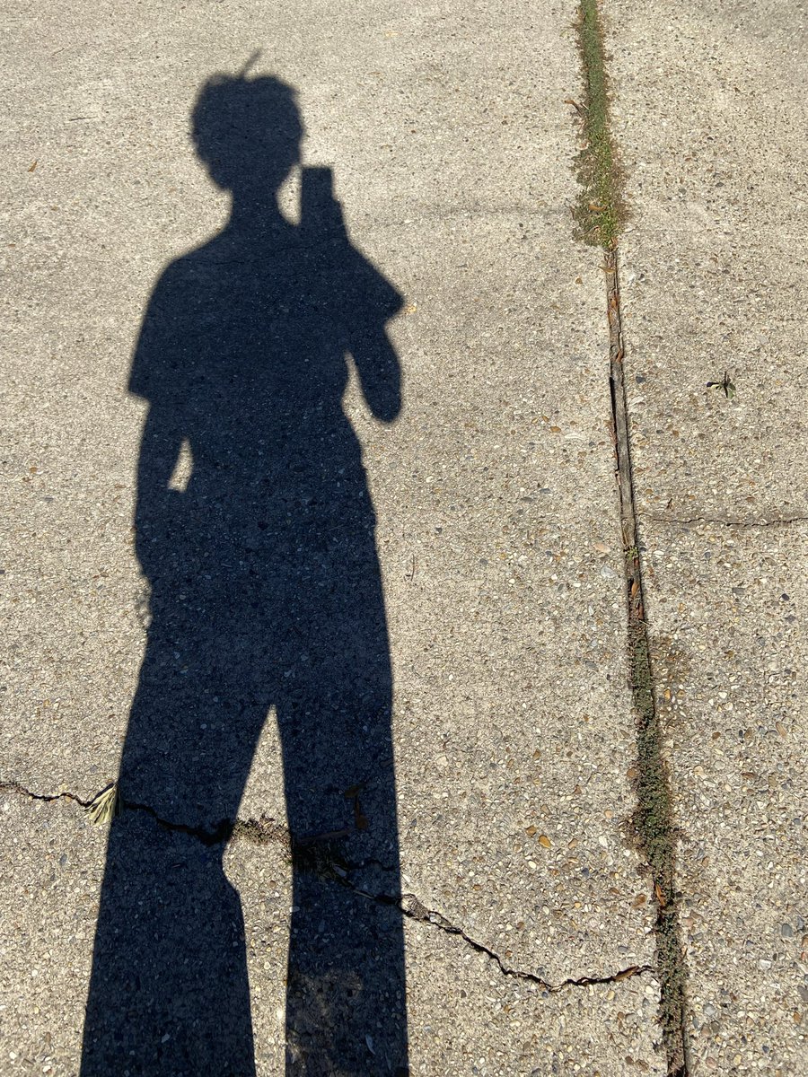 Protodedester's tweet photo. I have a stupid ahoge and I didn’t even notice https://t.co/dLXUpEbXBD