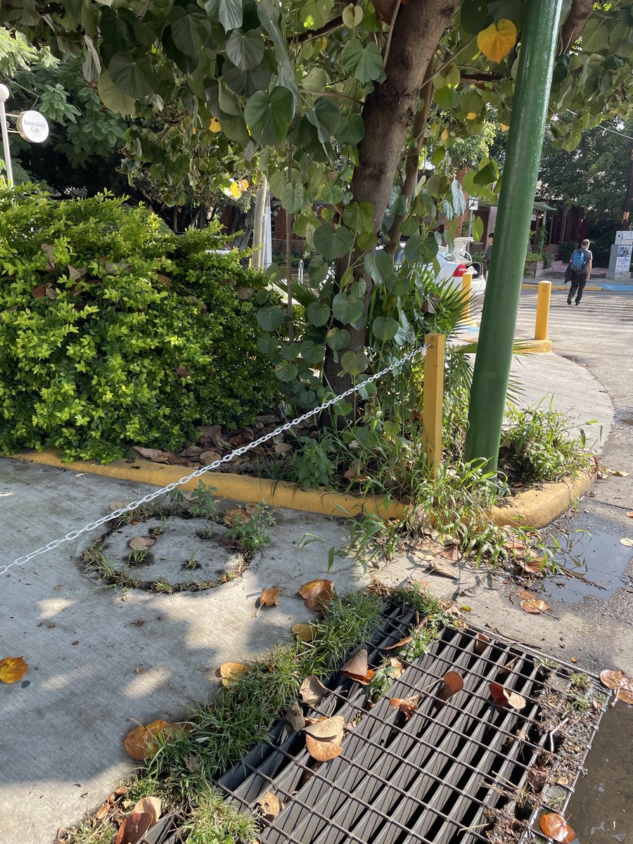 AmargoArqui's tweet photo. @MovilidadZap @VRChapalita400 @ZapopanGob Oye @MovilidadZap siguen las cadenas en la banqueta de estos negocios gandallas en av Tepeyac 1114  col Chapalita https://t.co/9IoiRLNgHd