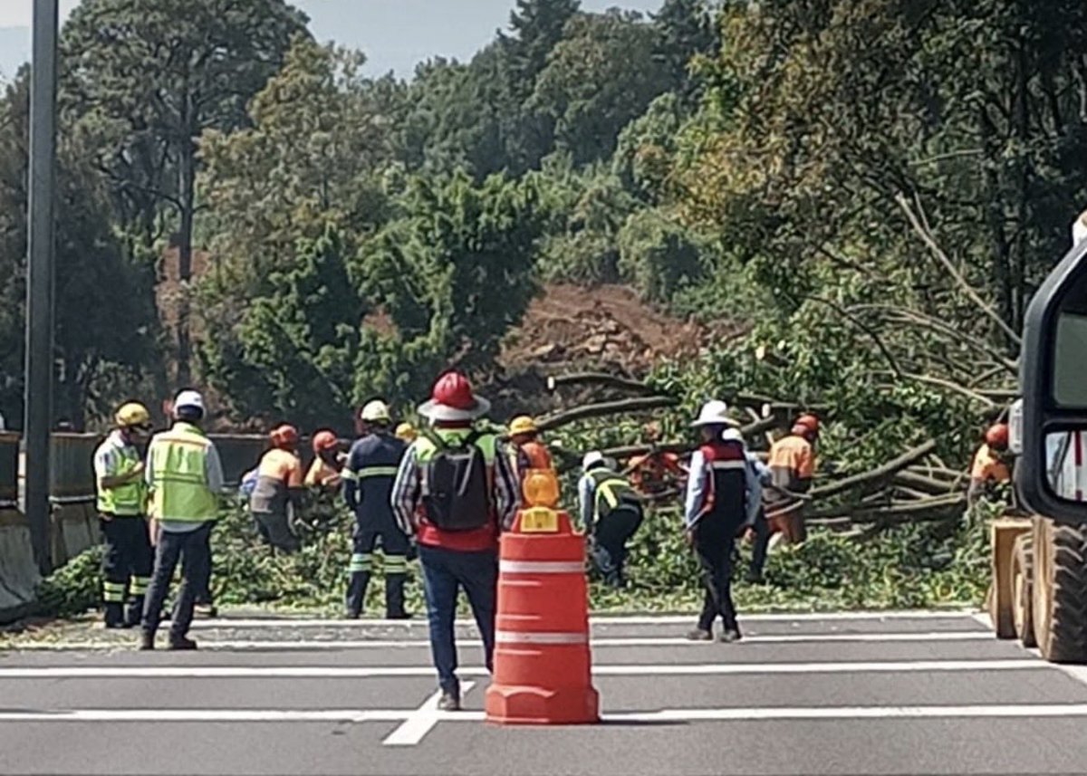 circulo_depoder's tweet photo. 🔴 CIERRES INTERMITENTES COMPLICAN LA MÉXICO–CUERNAVACA EN CHAMILPA

Se registran cierres temporales a la circulación en ambos sentidos de la autopista México–Cuernavaca, a la altura del kilómetro 78, en la zona de Chamilpa.

Las afectaciones se deben a trabajos de derribo de árboles, por lo que se recomienda extremar precauciones y considerar posibles retrasos.

📷 Redes Sociales 
 #Morelos #Cuernavaca