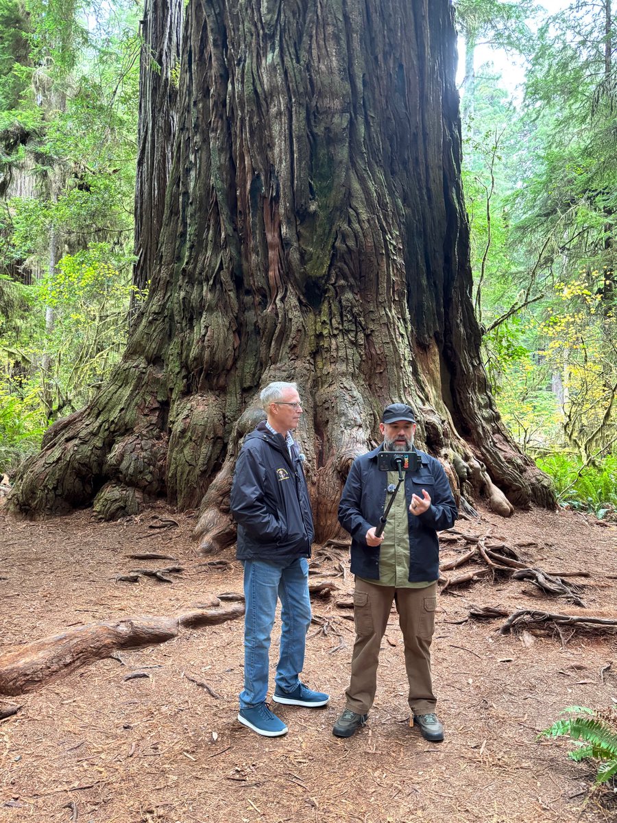 Two men stand in front of an enormous tree in a forest. One man holds a phone on a selfie stick, and the other faces him. There is small text on the phone, but it is not clearly readable.