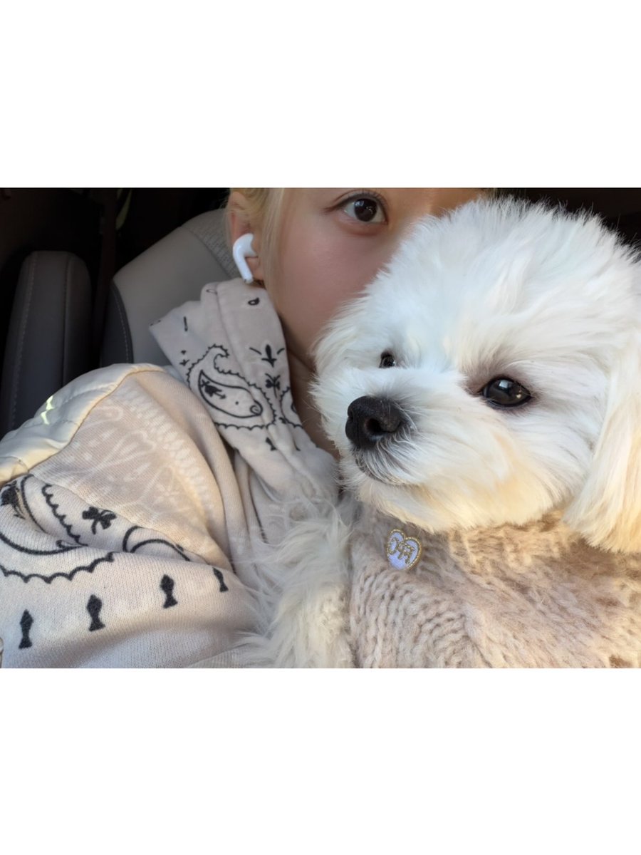 summaergirl's tweet photo. 𑣲 ⠀: ⠀ @ imwinter

뽀와나
뽀졸려
마주쳤다, 눈
? https://t.co/FteqKre8fL