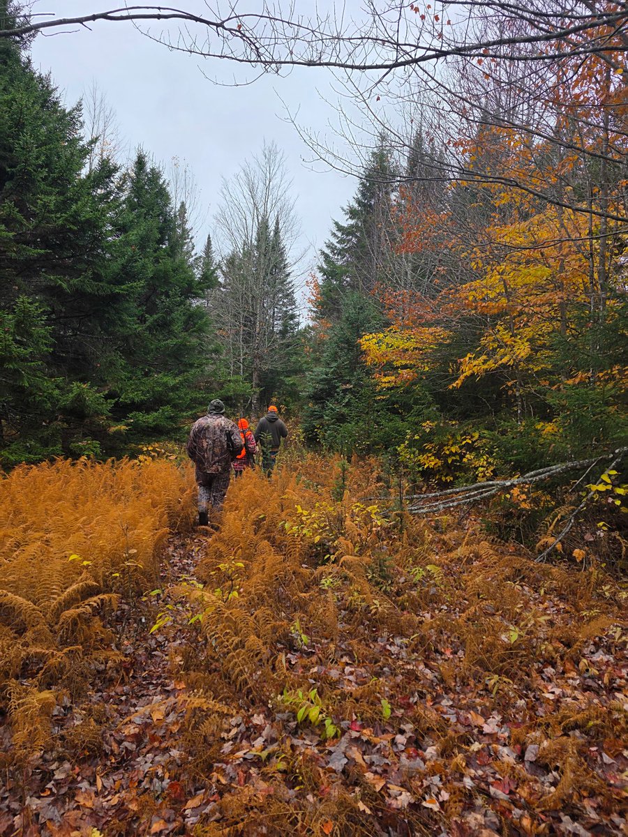brextonbusch's tweet photo. After my dad passed we learned he was awarded a Maine Moose tag, thankfully we were able to transfer it to me! Hunting was one thing my dad & I loved to do away from the race track, I have more hunting stories I’ll share this offseason. Last week I was able to go with his spotter @SpotterDerek and his hunting buddies. I didn’t get anything, but we saw a couple bulls! Had a ton of fun, and I can’t wait to do it again one day!!🫎