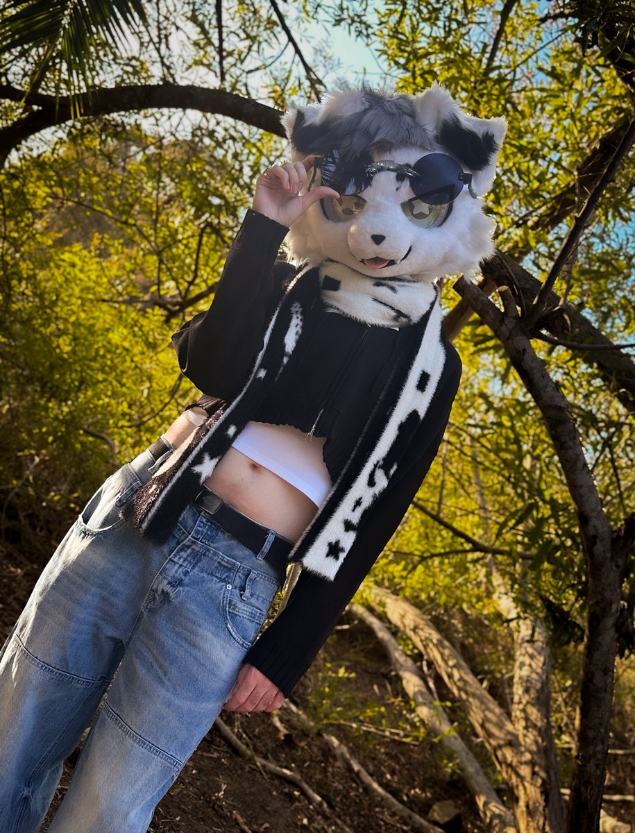 TauCetiFold's tweet photo. Am i spooky..
📸: @/Tamarisk_dog https://t.co/llfybLWzrg