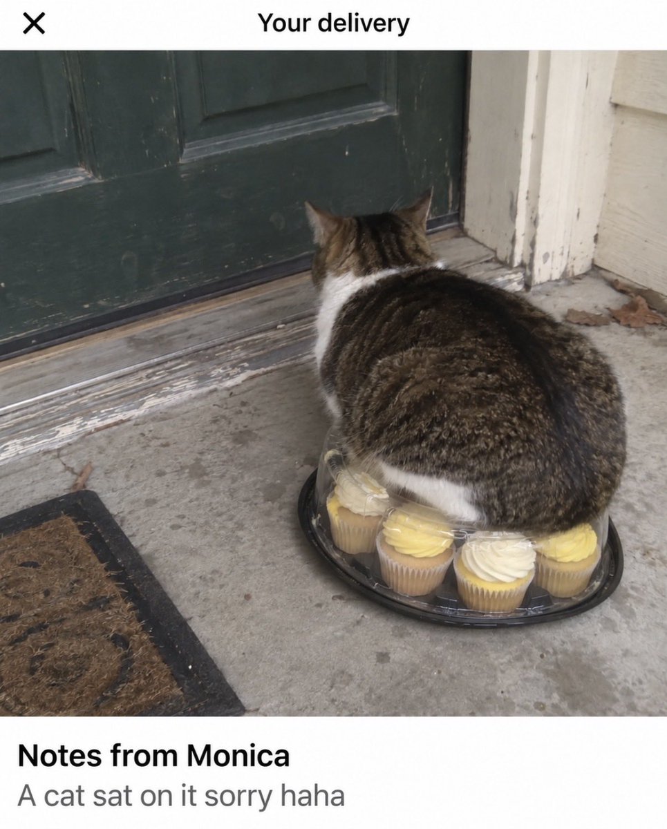 hardcatmemes's tweet photo. https://t.co/69PgbuWXjC