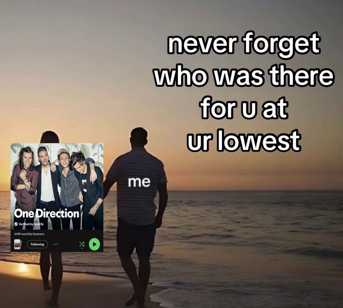 payno_foreever's tweet photo. i will never ever stop loving one direction. https://t.co/1wzdAp3vQY