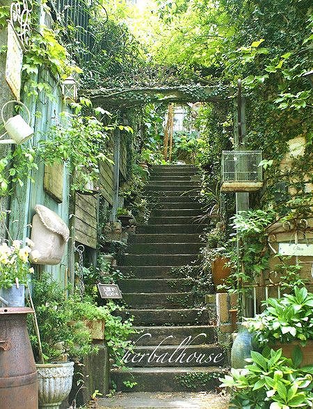 SerenityStoim's tweet photo. 最近はやたらと登山にハマってるなあ。友達に誘われて行った三重の御在所岳がめちゃくちゃ良くて。体力の限界を試されつつ、頂上で見る景色がマジで息をのむレベル。

#暇な人 https://t.co/aZAqsV2DNJ