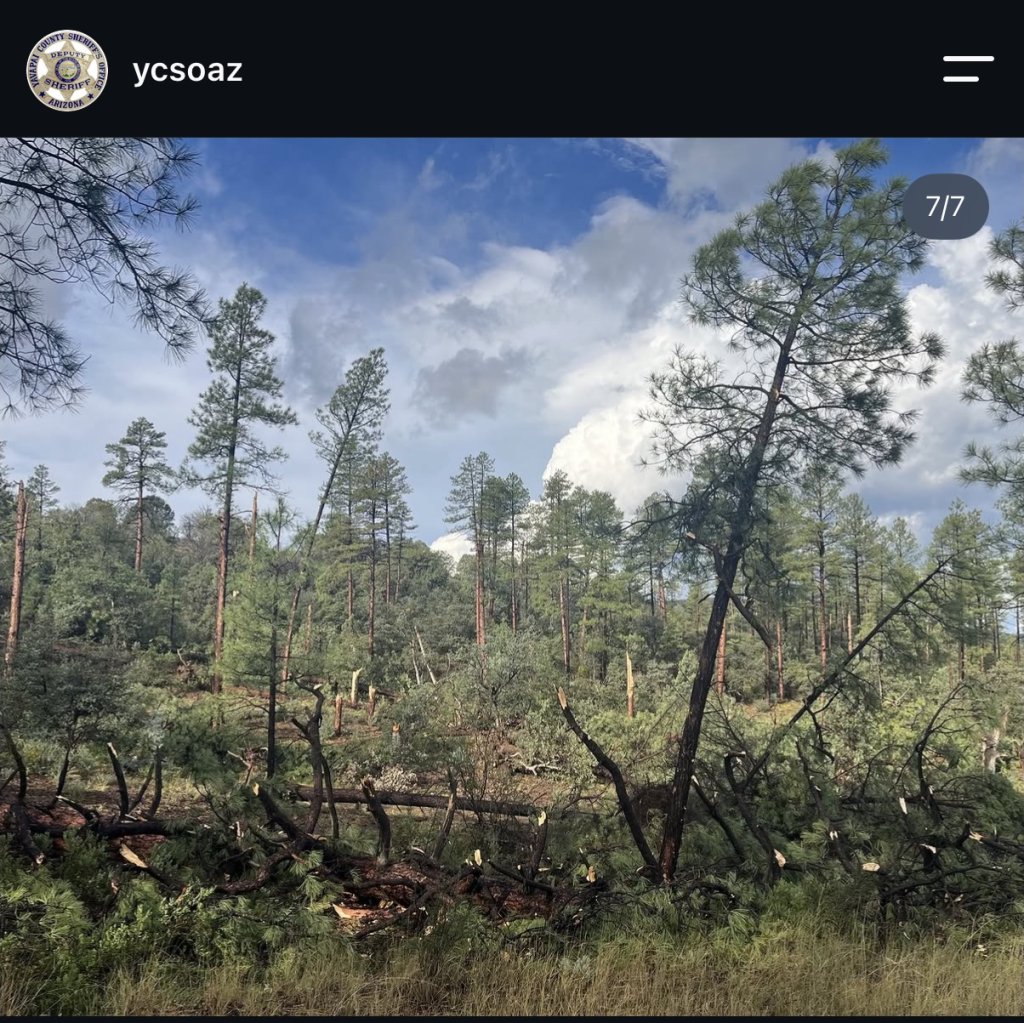 SouthwestWX's tweet photo. Might need a damage survey near Lynx Lake #azwx @NWSFlagstaff https://t.co/Rj5Fm6WSPD
