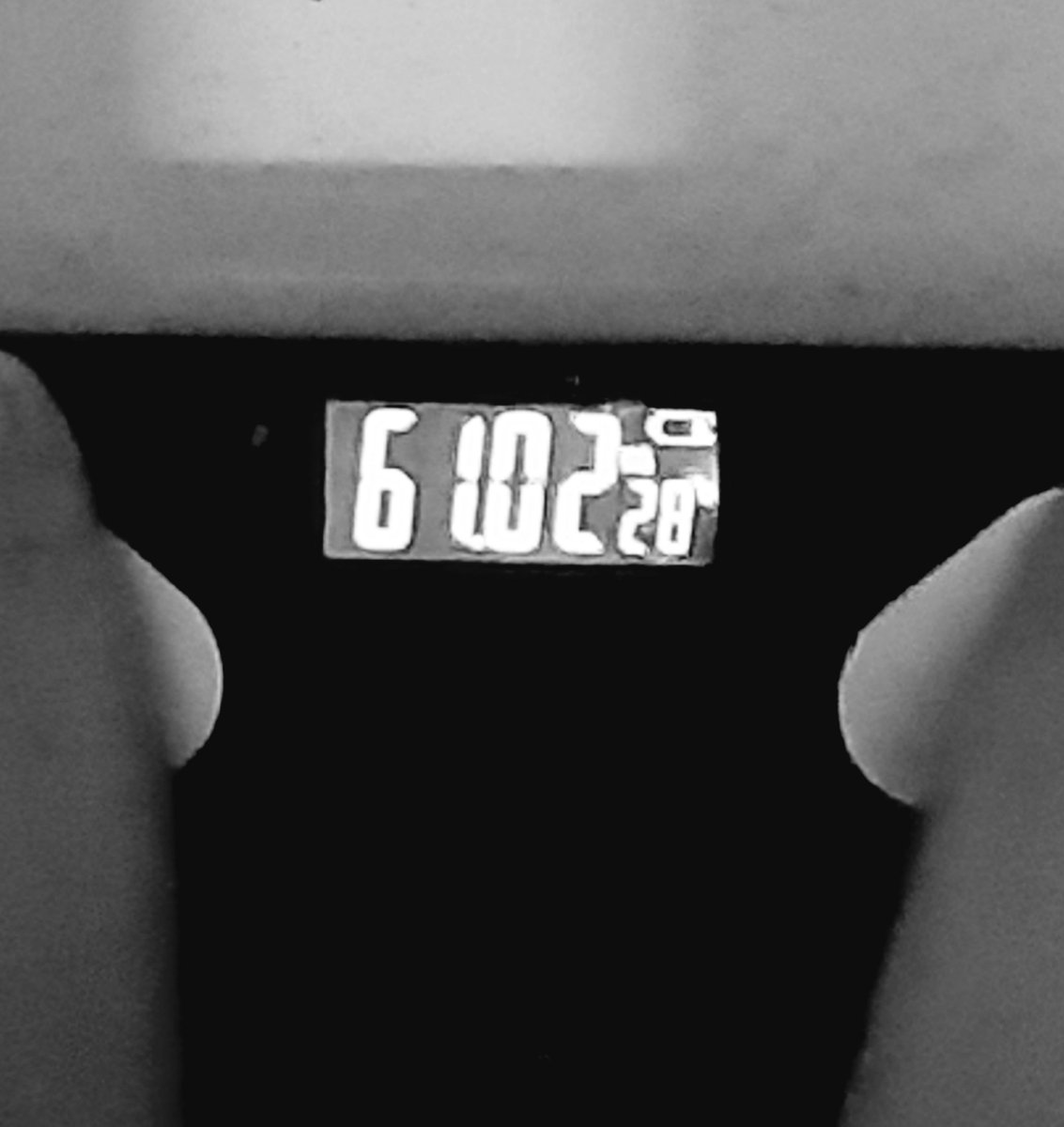 coluccikcal's tweet photo. engordei 1kg, óbvio https://t.co/2z76SgZVZ8