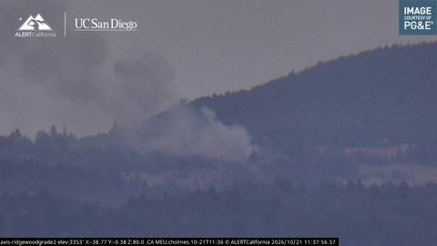 CodeRed001Blue's tweet photo. #SherwoodFire 35100 Block of Sherwood Rd, West of Longvale, Mendocino County, CA 

11:40AM Resources are responding to a reported vegetation fire, per radio traffic, with smoke showing on the camera. https://t.co/ynB0sDrpKW
