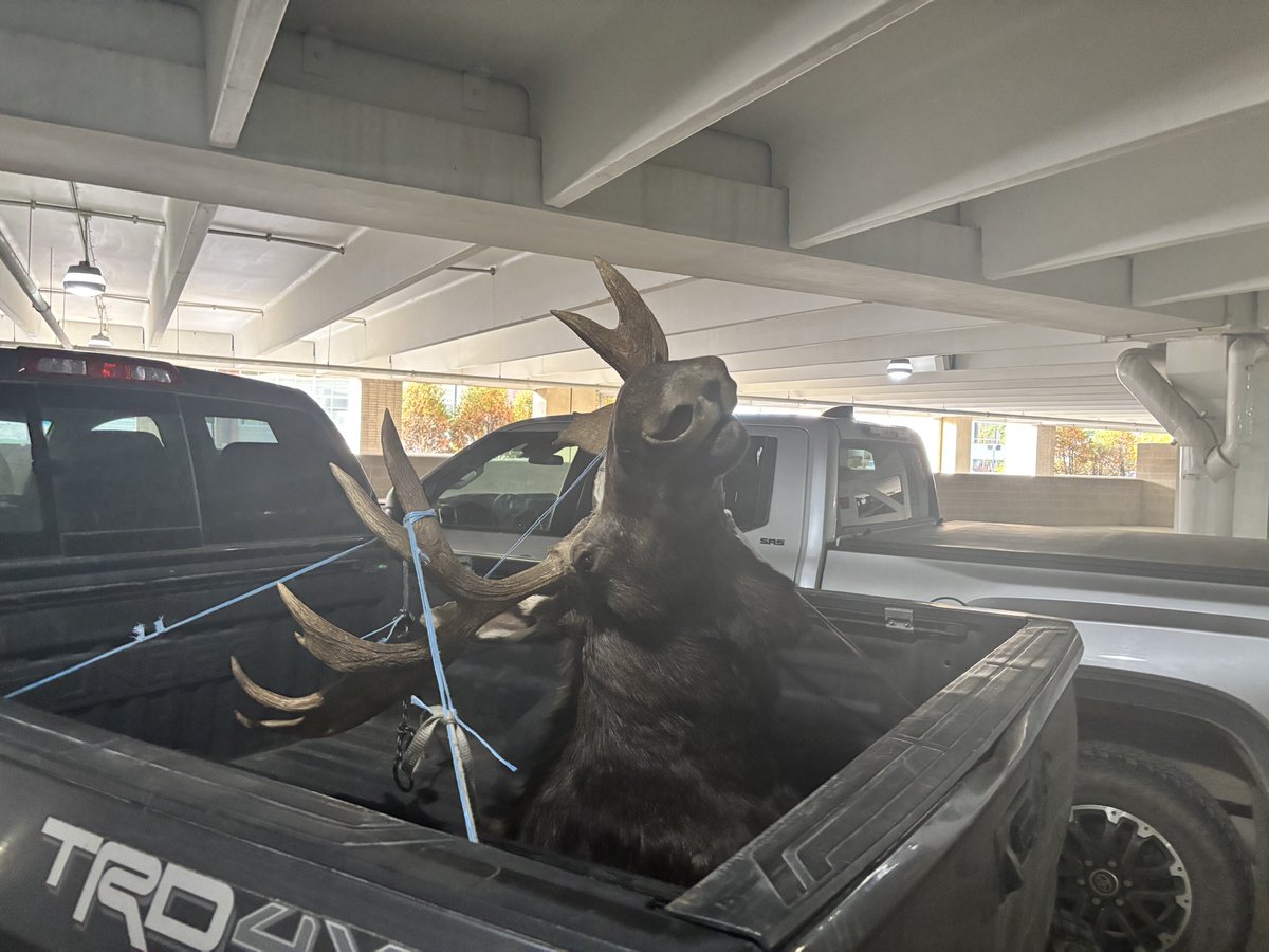BlueBoxDave's tweet photo. Well, I’m definitely in Maine… https://t.co/90gLuaNAu3