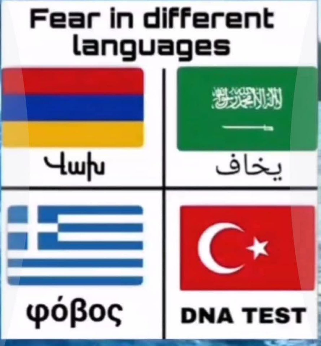 ThePatrioticDog's tweet photo. The Chinese have equipped me with turk memes for years to come. Some of my favorites: https://t.co/W0KelxdRAM
