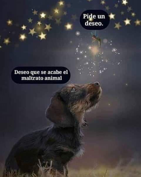 rey_latino33087's tweet photo. https://t.co/eALAKGTwes